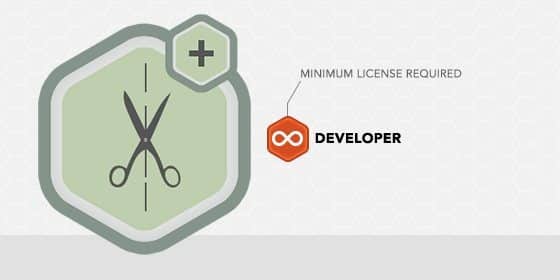 Gravity Forms Coupons Addon 3.5.0