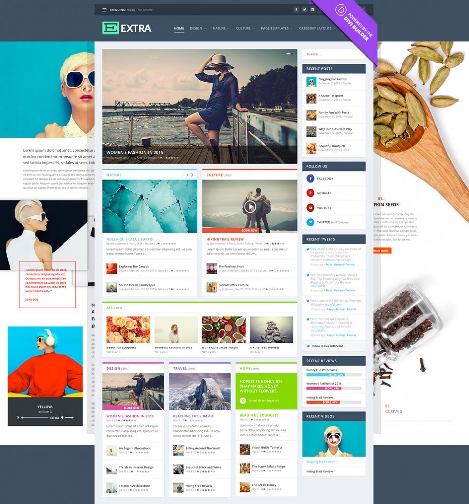 Elegant Themes Extra WordPress Theme 4.27.4