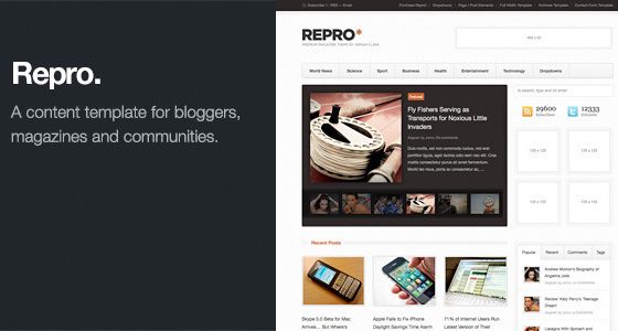 Product Image - ThemeZilla Repro WordPress Theme 1.4