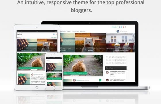 Product Image - MyThemeShop MyBlog WordPress Theme 1.2.11