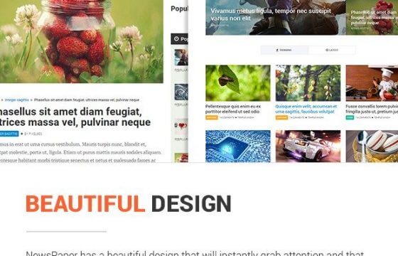 Product Image - MyThemeShop NewsPaper WordPress Theme 2.3.14