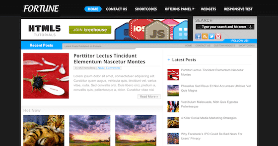 Product Image - MyThemeShop Fortune WordPress Theme 1.0.10