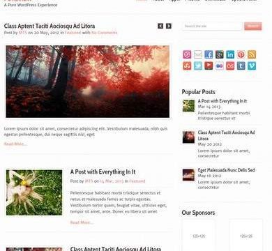 MyThemeShop Pureview WordPress Theme 1.1.3