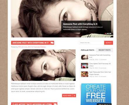 MyThemeShop Saturation WordPress Theme 1.1.3