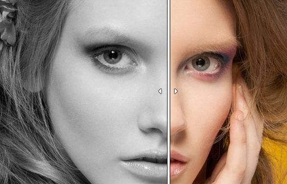 Product Image - Themify Builder AB Image Addon 3.0.3 Product Image - Themify Builder AB Image Addon 3.0.3