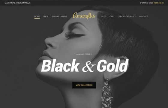 CSSIgniter Amaryllis WordPress Theme 3.1