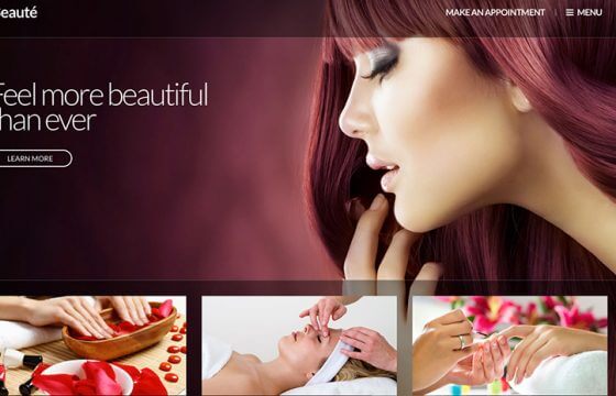 Product Image - CSSIgniter Beaute WordPress Theme 2.0.6