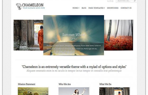 Elegant Themes Chameleon WordPress Theme