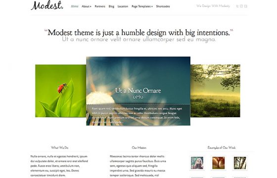 Product Image - Elegant Themes Modest WordPress Theme 3.9.13