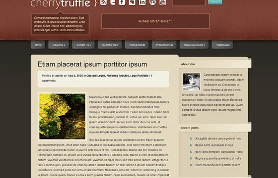 Product Image - Elegant Themes CherryTruffle WordPress Theme 6.3.13 Product Image - Elegant Themes CherryTruffle WordPress Theme 6.3.13