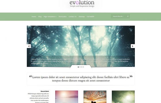 Elegant Themes Evolution WordPress Theme