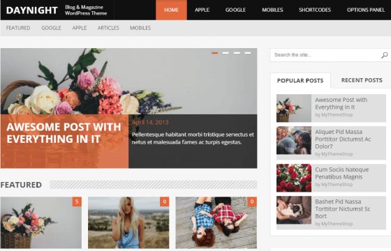 Product Image - MyThemeShop DayNight WordPress Theme 1.1.3
