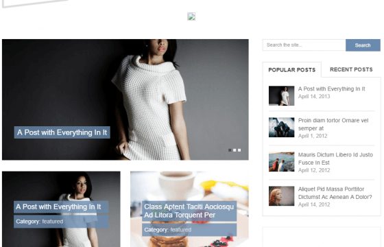 Product Image - MyThemeShop Flick WordPress Theme 1.1.3