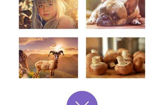 Product Image - Themify Builder Infinite Posts Addon 3.5.4