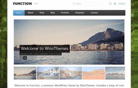 Product Image - Woothemes Function WooCommerce Themes 1.4.13