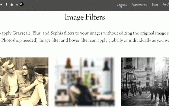 Product Image - Themify Ultra WordPress Theme 7.7.5
