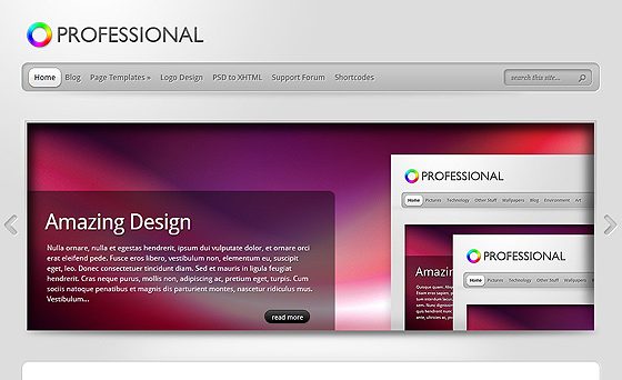 Product Image - Elegant Themes TheProfessional WordPress Theme 4.0.13