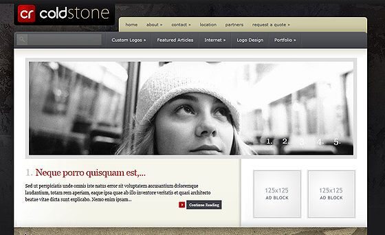 Elegant Themes ColdStone WordPress Theme