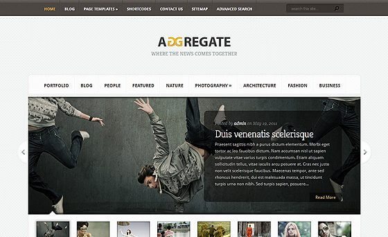 Elegant Themes Aggregate WordPress Theme