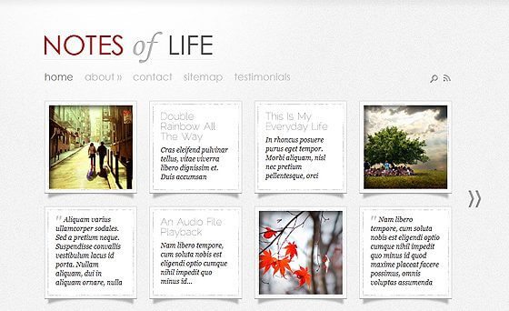 Product Image - Elegant Themes DailyNotes WordPress Theme 5.8.13 Product Image - Elegant Themes DailyNotes WordPress Theme 5.8.13