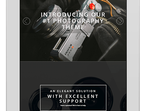 ThemeIsle Rokophoto WordPress Theme