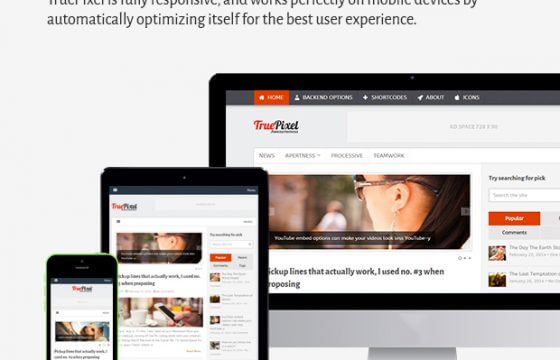 Product Image - MyThemeShop TruePixel WordPress Theme 4.1.0
