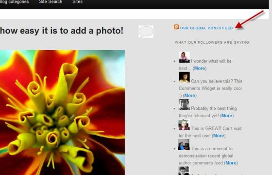 Product Image - WPMU DEV Recent Global Posts Feed 3.1.1