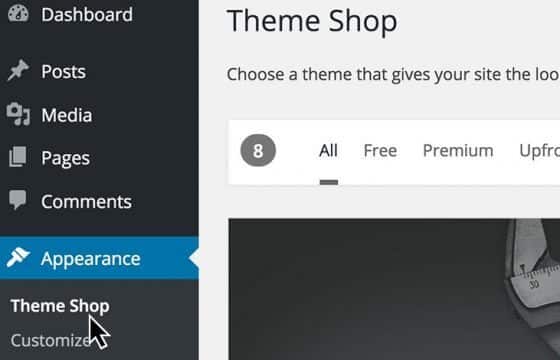 Product Image - WPMU DEV Multisite Theme Manager 1.1.6