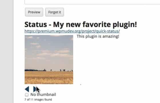 Product Image - WPMU DEV Status 1.8.4