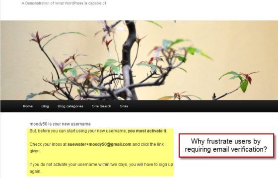 Product Image - WPMU DEV Remove Email Verification 2.4.1 Product Image - WPMU DEV Remove Email Verification 2.4.1
