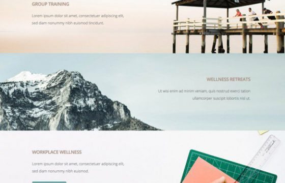 WPMU DEV Spirit 1.4.1