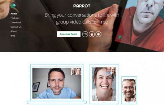 Product Image - WPMU DEV Parrot