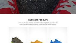 Product Image - OboxThemes Lace and Sole WooCommerce Themes 1.0