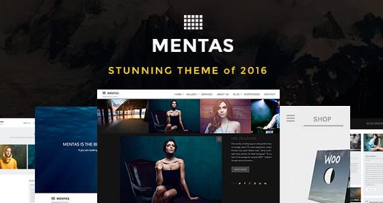 Product Image - Mentas Portfolio – Art Portfolio 2.2.3