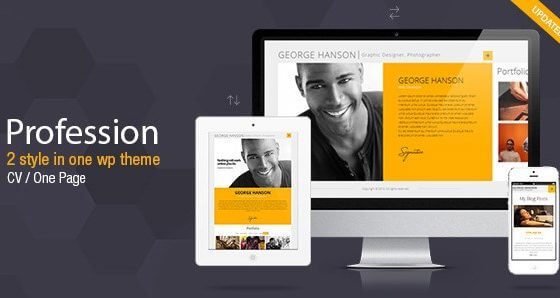 Product Image - Profession – One Page CV Resume Theme 2.9.4