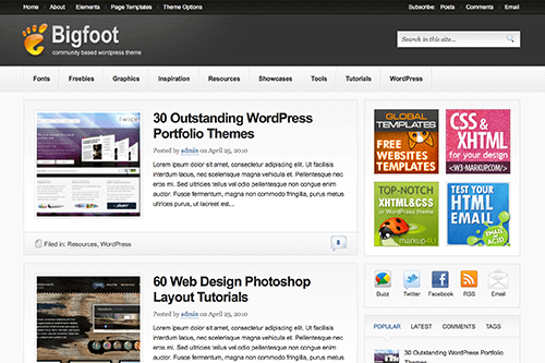 Product Image - Theme Junkie Bigfoot WordPress Theme 1.0.8
