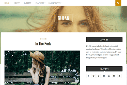 Product Image - Theme Junkie Bulan WordPress Theme 1.0.9
