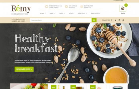 Product Image - Remy Premium WooCommerce Themes 1.2.26