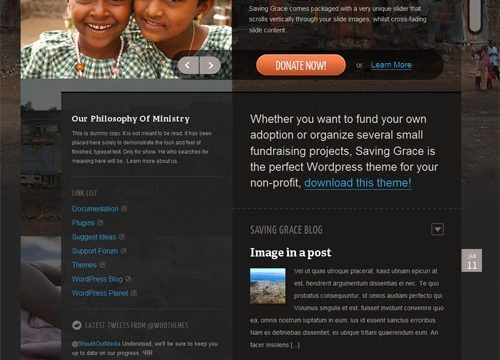 Product Image - WooThemes Saving Grace Premium Theme 1.1.3