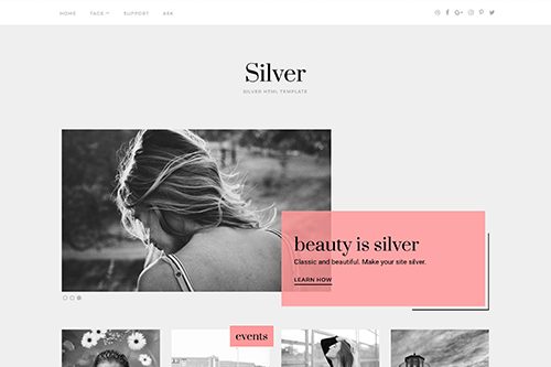Product Image - Theme Junkie Silver WordPress Theme 1.0.2