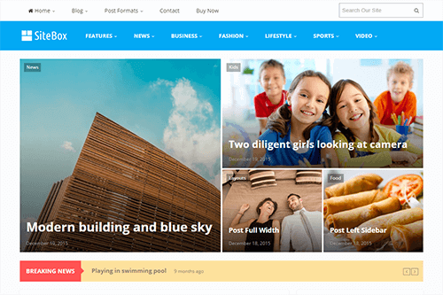 Product Image - Theme Junkie SiteBox WordPress Theme 1.2.0