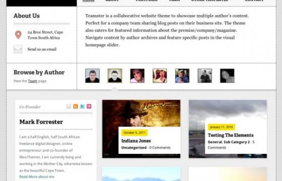 WooThemes Teamster Premium Theme