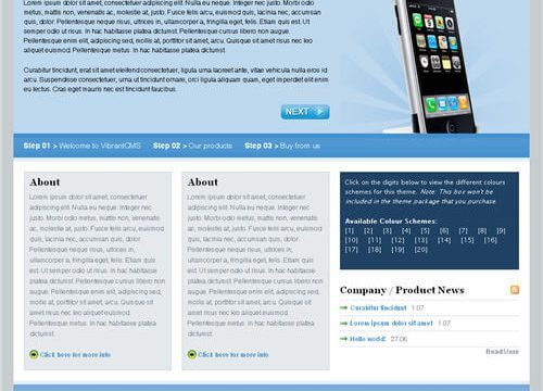 Product Image - WooThemes VibrantCMS Premium Theme 2.6.0