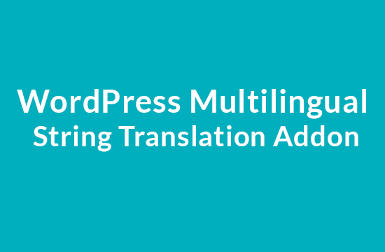 Product Image - WordPress Multilingual String Translation Addon 3.2.3