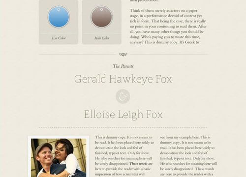 WooThemes Announcement Premium Theme