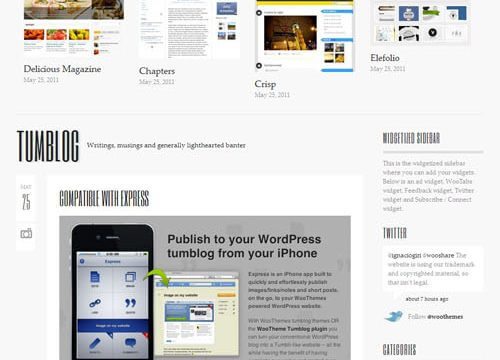 WooThemes Briefed Premium Theme