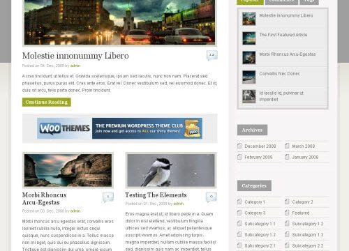 WooThemes Busybee Premium Theme