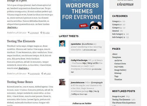 WooThemes Coda Premium Theme