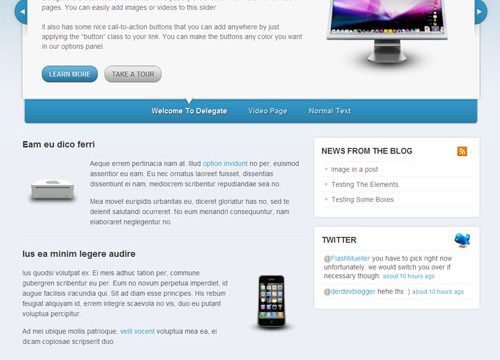 WooThemes Delegate Premium Theme