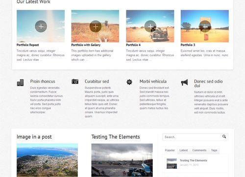 WooThemes Olya Premium Theme